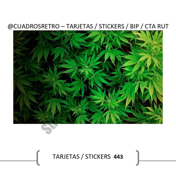 443 Plantita - TARJETA BIP / Sticker BIP / Sticker Cuenta Rut